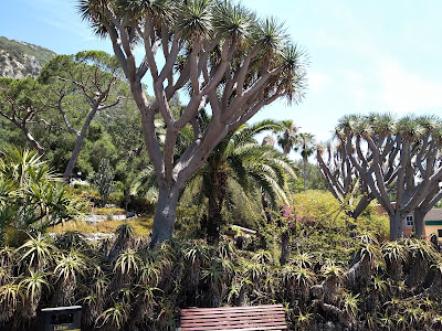 Gibraltar Botanic Gardens — fotografia 3
