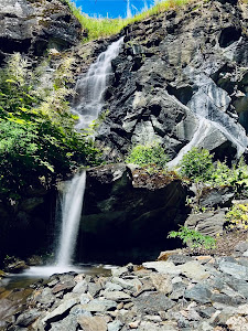 Klagenfurt Botanical Garden — fotografia 5