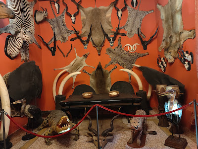 Museo di Storia Naturale Giancarlo Ligabue (Fondaco dei Turchi) — fotografia 4