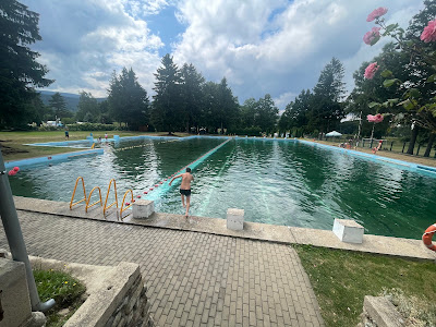 WIŚNIOWA POLANA Camping — fotografia 3