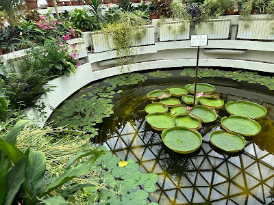 Grădina Botanică „Vasile Fati” din Jibou — fotografia 3