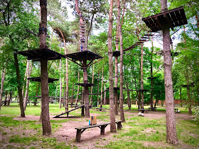 Parcul de Aventură Comana — fotografia 3