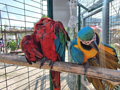 Mini Zoo Land