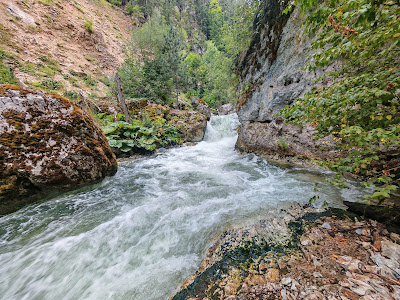 Devil’s Path Ecotrail — fotografia 5