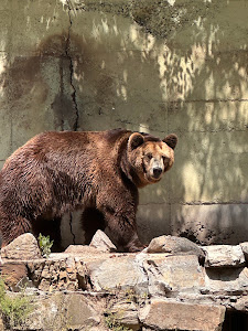 Stara Zagora Zoo — fotografia 5