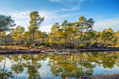 Divjaka-Karavasta National Park — fotografia 4