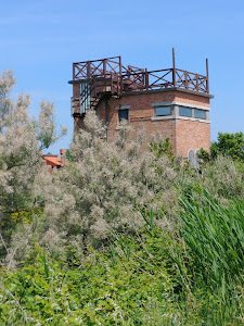 Litorale di Pellestrina — fotografia 5