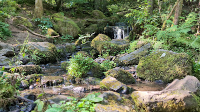 Schächerbachtour Homberg/Ohm — fotografia 3