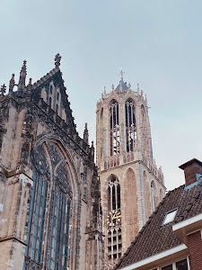 Dom Tower — fotografia 5