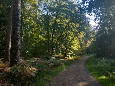 Harburger Berge — fotografia 3