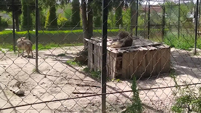 Зоопарк Павликени — fotografia 2