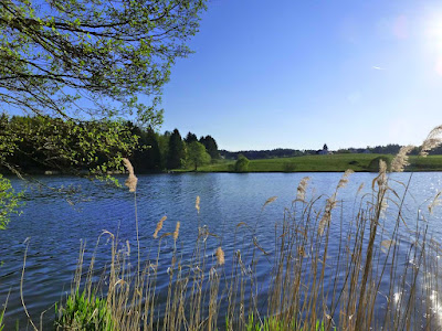 Campingplatz Hammerschmiedesee - Joachim Hug — fotografia 5