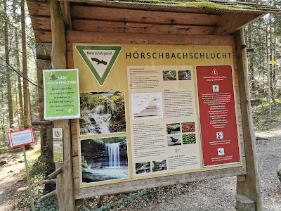 Hinterer Wasserfall Hörschbach — fotografia 3