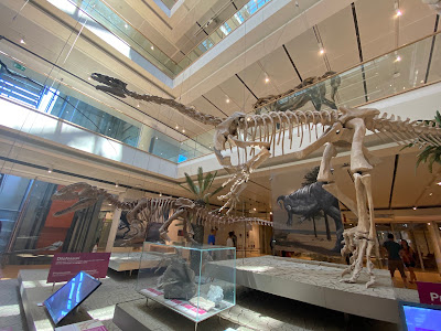 MUSE - Science Museum — fotografia 5