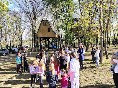Camping Malá Bara, Tree-Top Village — fotografia 5
