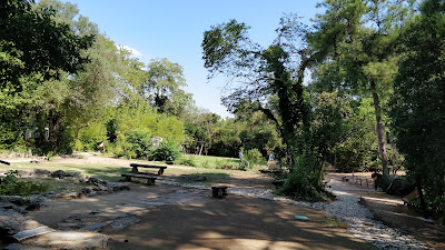 Pikioni — fotografia 5