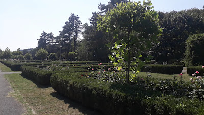 Parcul Casa Albă — fotografia 2