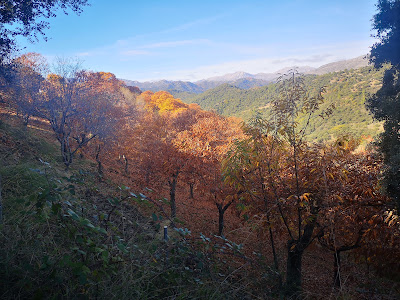 Sendero de las Chorreras de Balastar — fotografia 4