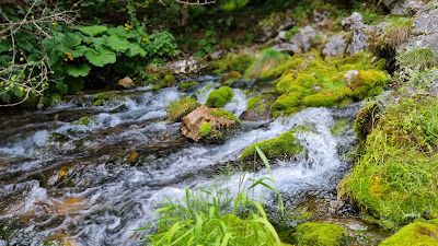 Izvoarele Cernei