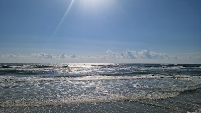 The Wild Beach