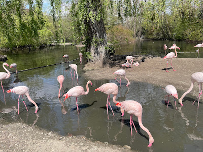 Zoo Augsburg — fotografia 3