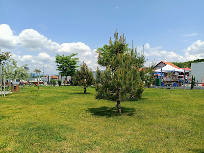 Arena Park Orăștie — fotografia 3