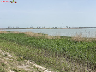 Lacul Bistrețu