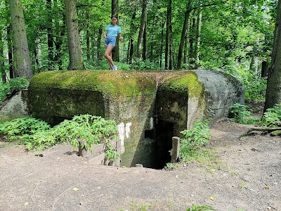 Brodnicki Park Krajobrazowy — fotografia 3