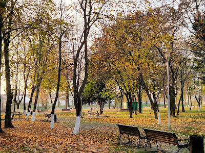 Insula de Agrement Bacău — fotografia 5