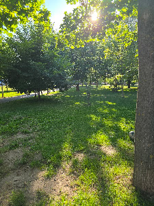 Parcul Karlsruhe