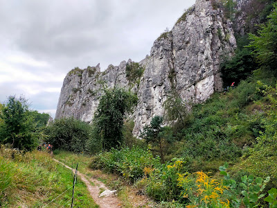 Wąwóz Bolechowicki — fotografia 3