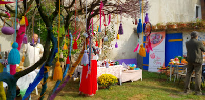 Zuze — fotografia 4