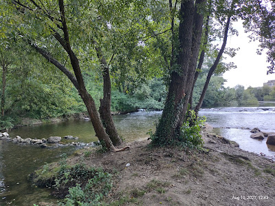 Parcul Silvaş