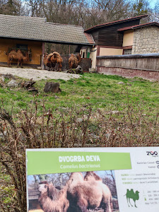 Zoo Zagreb — fotografia 5