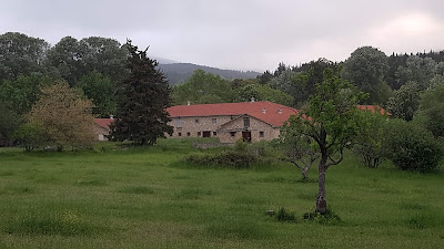 Tatoi Forest
