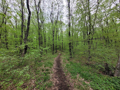 Shumen Plateau Nature Park — fotografia 5