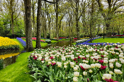 Keukenhof