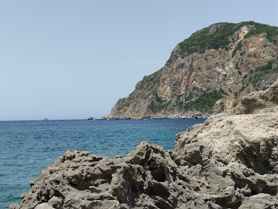 Corfu Aquarium — fotografia 4