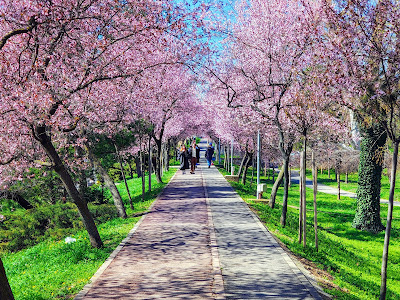 Parcul Catedralei — fotografia 5