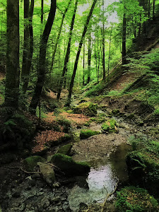 Hinterer Wasserfall Hörschbach — fotografia 5
