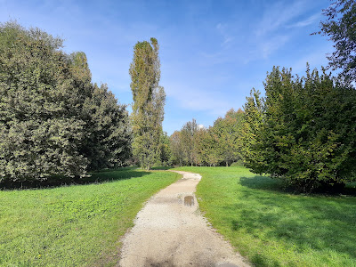 Oasi Verde