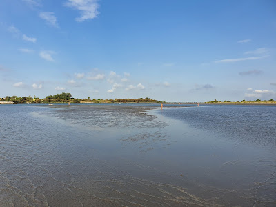 Spiaggia di Porto Caleri — fotografia 5