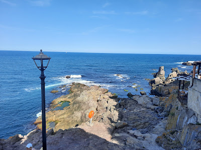 Panoramic View