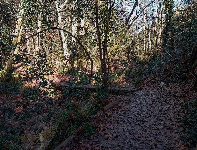 El Torrent de Colobrers — fotografia 4