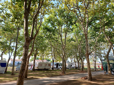 Camping Safari — fotografia 4
