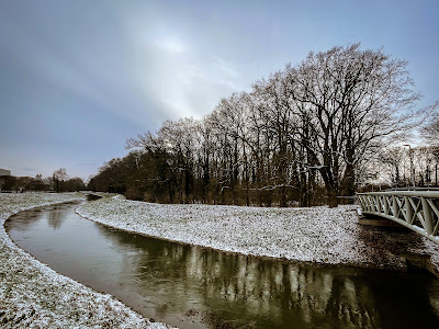 Oporowski Forest — fotografia 3