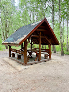 Kabaty Woods — fotografia 5