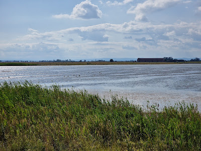 Parcul Național Neusiedler See – Seewinkel — fotografia 3