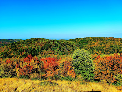 Bükkszentkereszt lookout — fotografia 5