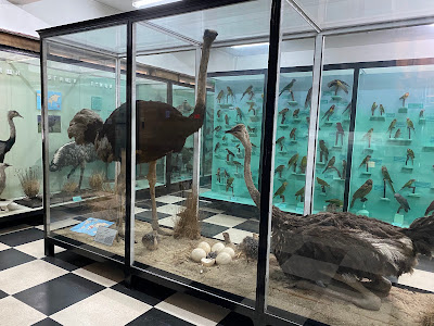 National Museum of Natural History — fotografia 5